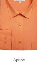 Load image into Gallery viewer, 009X(19-19 1/5) Classic Fit LS Dress Shirt-