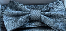 Load image into Gallery viewer, BT707-1225 BQ Bow Tie Set
