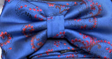Load image into Gallery viewer, BT736-1225 BQ Paisley Bow Tie Set
