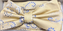 Load image into Gallery viewer, BT736-1225 BQ Paisley Bow Tie Set
