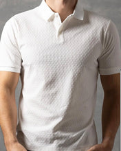 Load image into Gallery viewer, 261803-0426 BS Basketweave Knit Texture Polo Shirt
