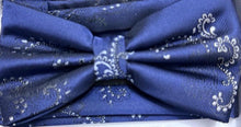 Load image into Gallery viewer, BT736-1225 BQ Paisley Bow Tie Set
