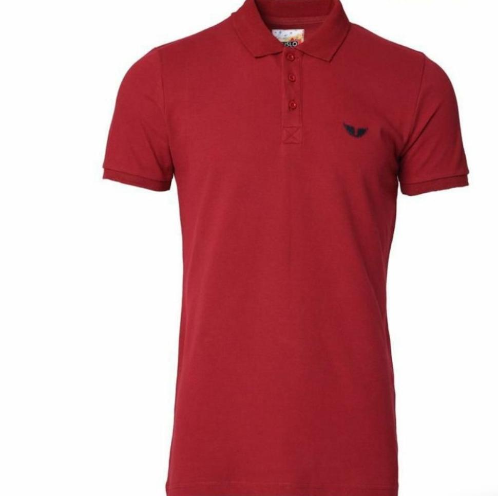 20977 Burgundy Polo 222