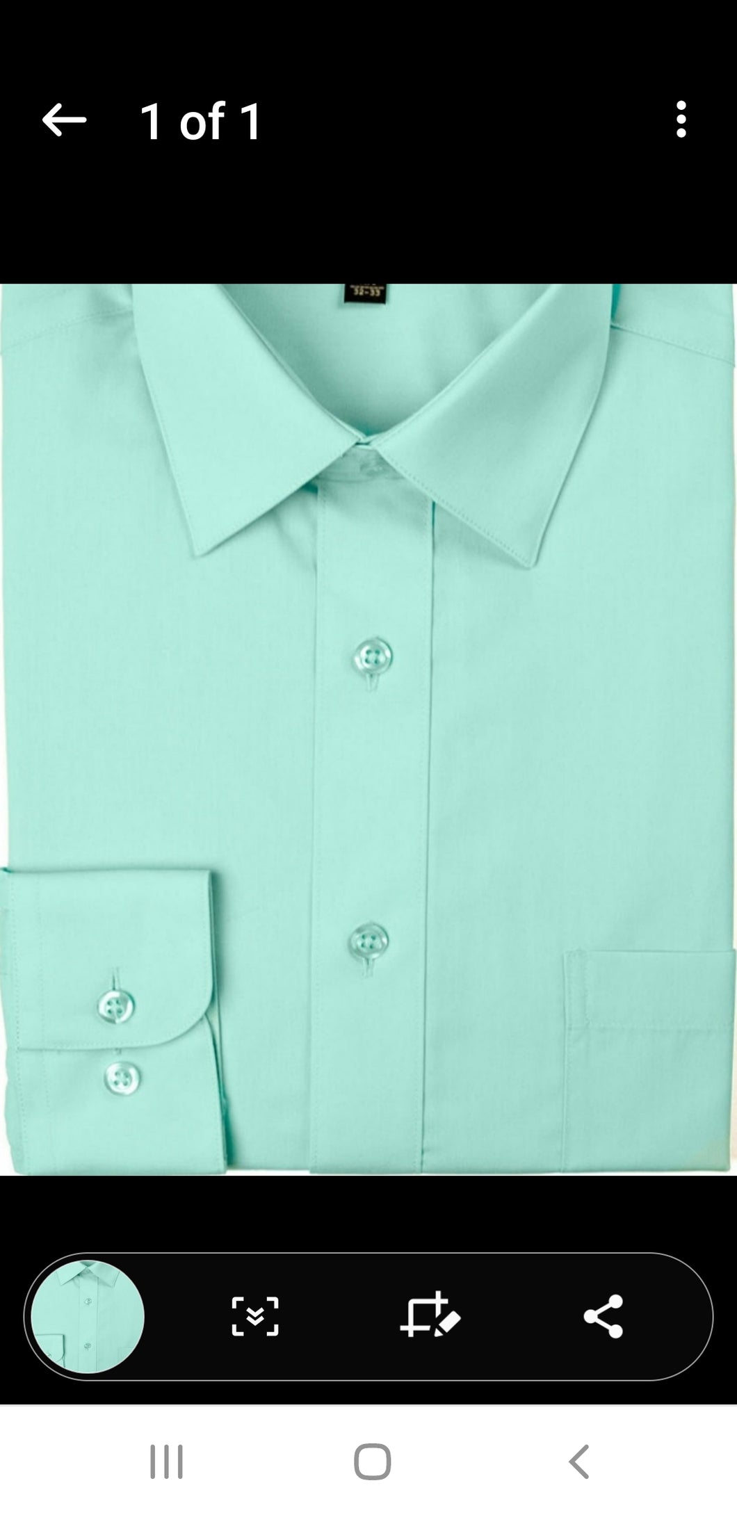 009CF Winter Green Classic Fit LS Dress Shirt