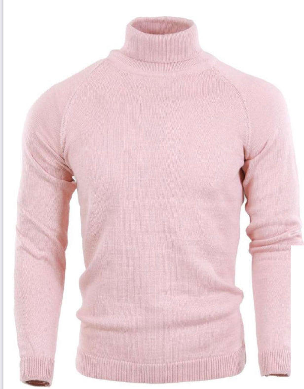 SS9501-524 Light Pink Long Sleeve Turtle Neck