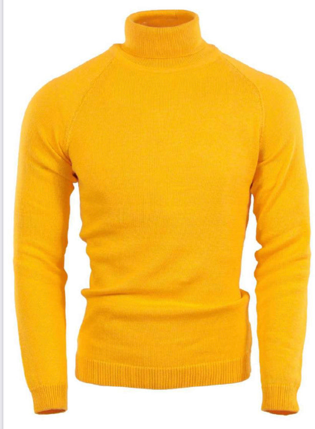 SS9501222 Orange Turtle Neck