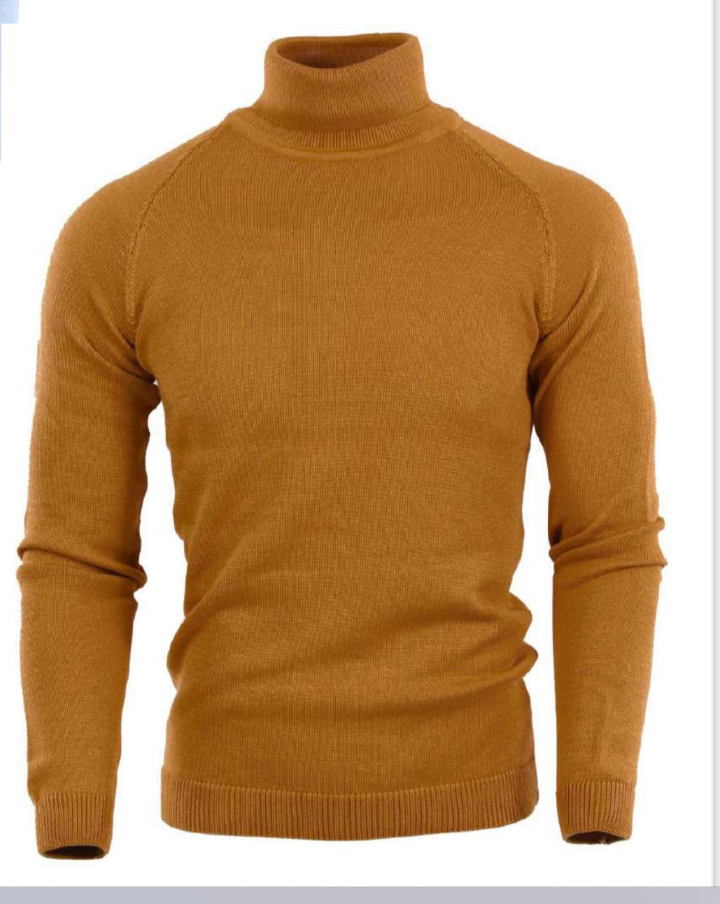 SS95011222 Mustard Turtle Neck